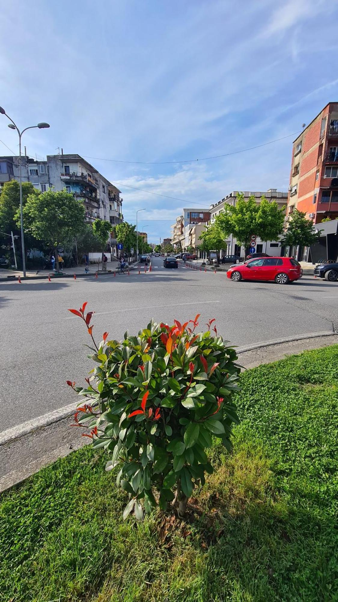 Dei Cozy Apartment Shkodër Eksteriør bilde